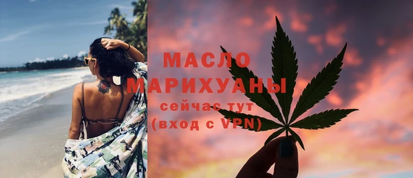 индика Сосновка