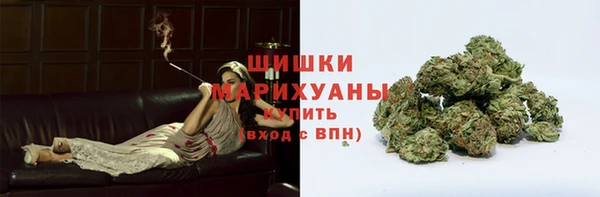индика Сосновка