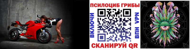 как найти закладки  Богородск  Галлюциногенные грибы MAGIC MUSHROOMS 